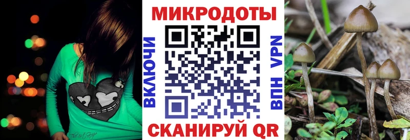 наркошоп  Советская Гавань  Псилоцибиновые грибы GOLDEN TEACHER 