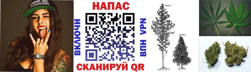 Марихуана OG Kush Советская Гавань